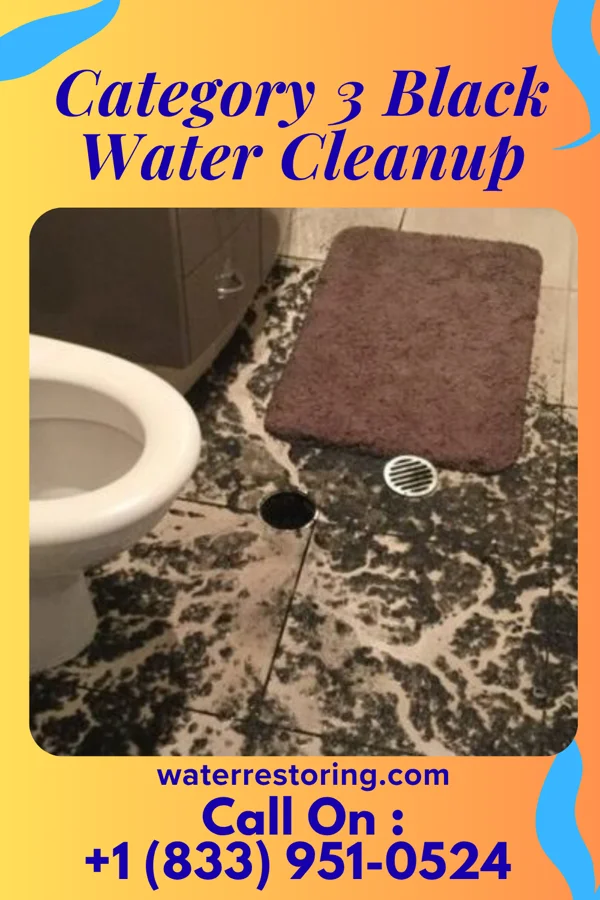 Category 3 Black Water Cleanup in Mount Vernon, KY