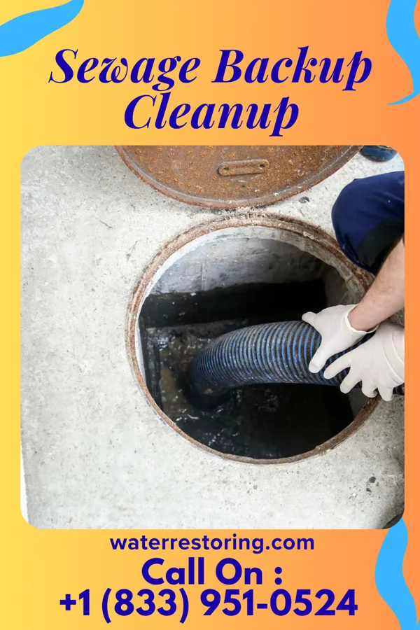 Sewage Backup Cleanup in Mount Vernon, KY