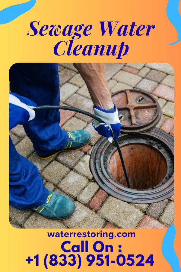 Sewage Water Cleanup in Mount Vernon, KY