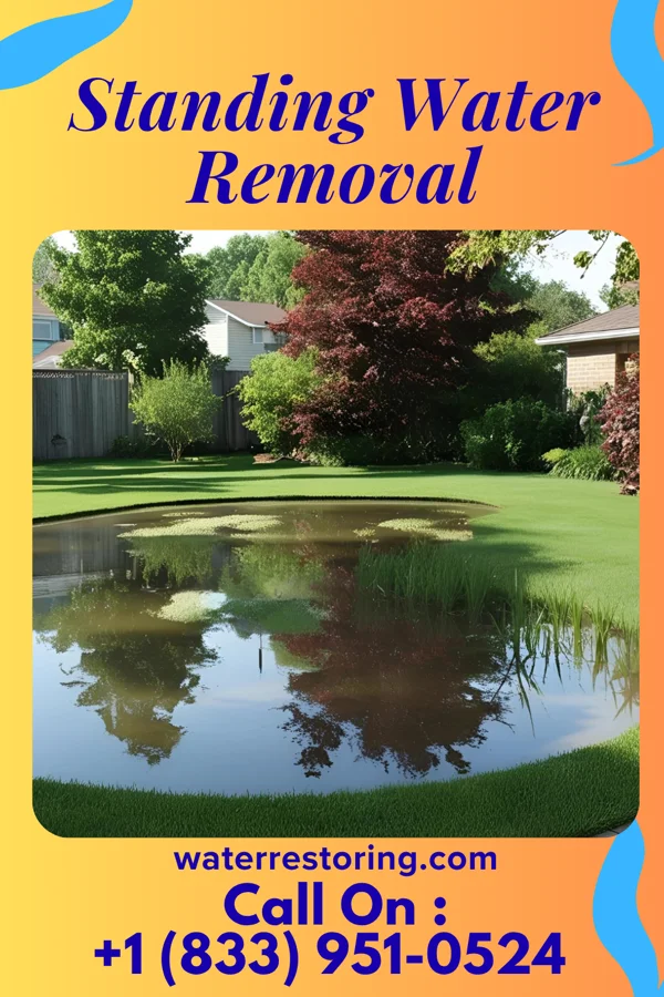 Standing Water Removal in Mount Vernon, KY